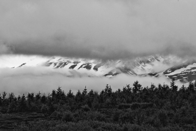 Cloud Window. Dalvik
