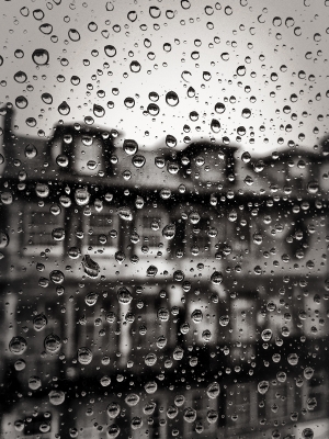 Rain Drops. Porto, Portugal